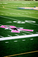 15.10.09 - Breast Cancer Awareness Game at North Cobb vs McEachern Football Game