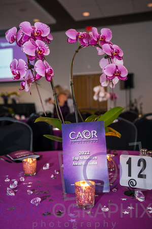 CAoR Award Gala-230414-037